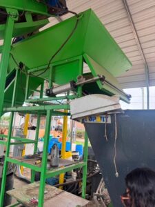 Green can buying system hopper and conveyor