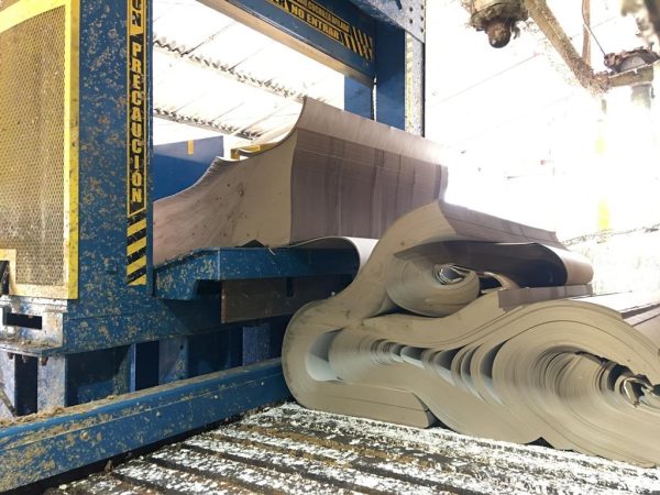 Split paper roll cores after cutting