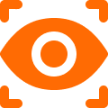 Visual Recognition System